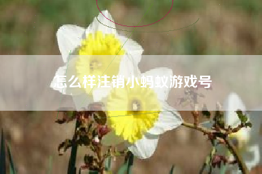 怎么样注销小蚂蚁游戏号