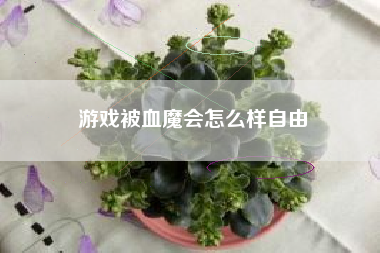 游戏被血魔会怎么样自由
