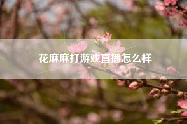 花麻麻打游戏直播怎么样