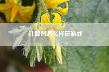 计算器怎么样玩游戏