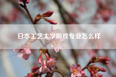 日本工艺大学游戏专业怎么样