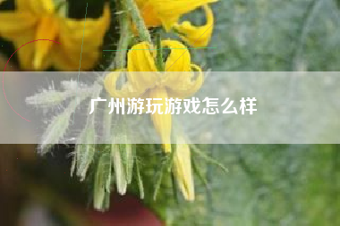 广州游玩游戏怎么样