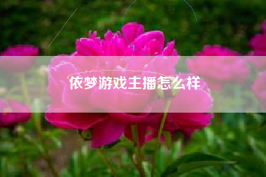 依梦游戏主播怎么样