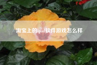 淘宝上的ipad软件游戏怎么样