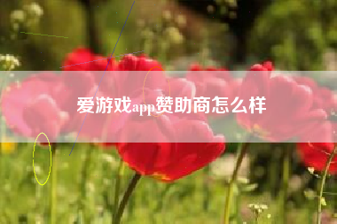 爱游戏app赞助商怎么样