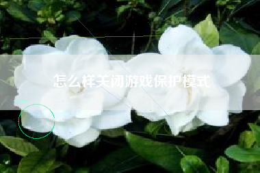 怎么样关闭游戏保护模式