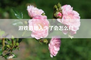 游戏直播人少了会怎么样