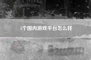 5个国内游戏平台怎么样