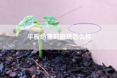 平板给猫的游戏怎么样