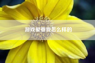 游戏爱要我怎么样的