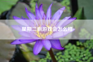 星期二删游戏会怎么样