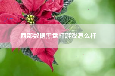 西部数据黑盘打游戏怎么样