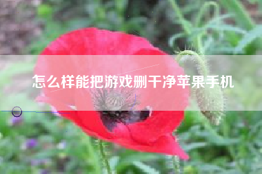 怎么样能把游戏删干净苹果手机