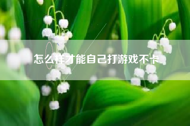 怎么样才能自己打游戏不卡