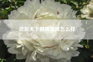 逗游天下棋牌游戏怎么样