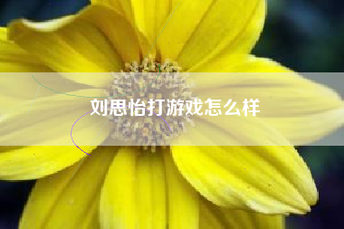 刘思怡打游戏怎么样