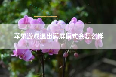 苹果游戏退出满屏模式会怎么样