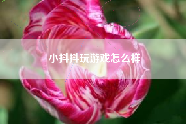 小抖抖玩游戏怎么样