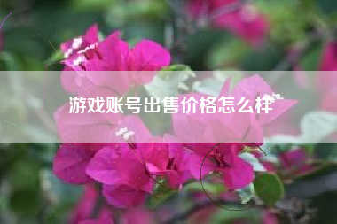 游戏账号出售价格怎么样