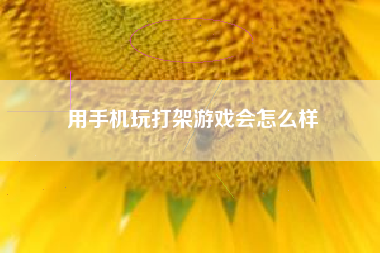 用手机玩打架游戏会怎么样