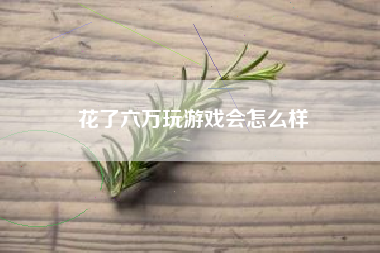 花了六万玩游戏会怎么样