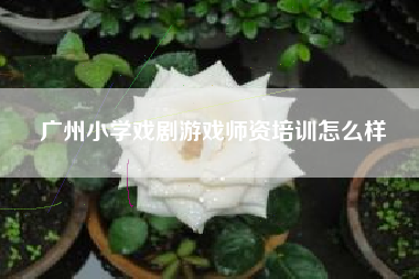 广州小学戏剧游戏师资培训怎么样