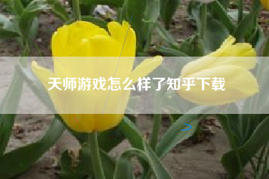 天师游戏怎么样了知乎下载