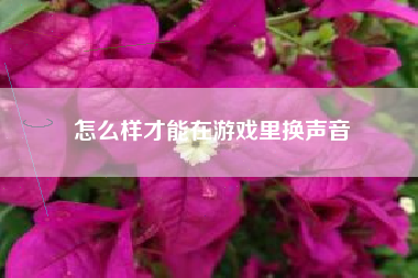 怎么样才能在游戏里换声音