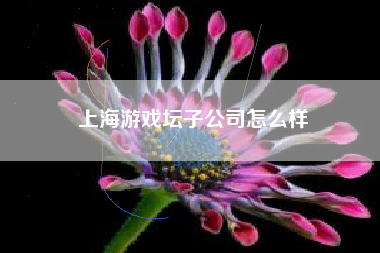 上海游戏坛子公司怎么样