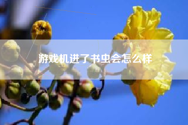 游戏机进了书虫会怎么样