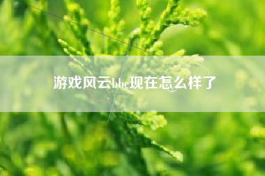 游戏风云bbc现在怎么样了