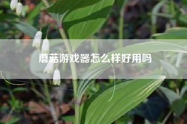 蘑菇游戏器怎么样好用吗