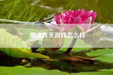 坚决九天游戏怎么样