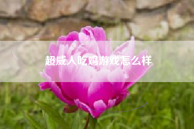 超威人吃鸡游戏怎么样