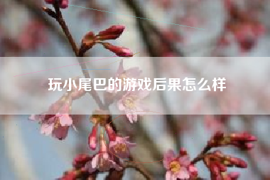 玩小尾巴的游戏后果怎么样