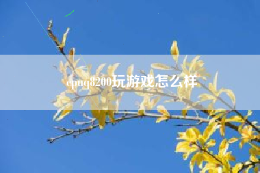 cpuq8200玩游戏怎么样