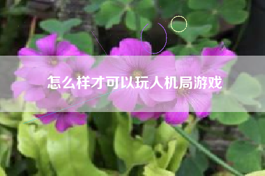 怎么样才可以玩人机局游戏