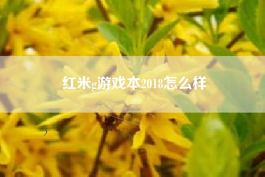 红米g游戏本2018怎么样