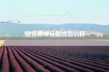 迷你枪神玩游戏怎么样