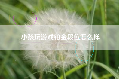 小孩玩游戏铂金段位怎么样