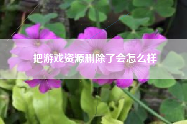 把游戏资源删除了会怎么样