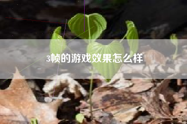 3帧的游戏效果怎么样