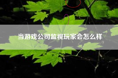 当游戏公司监视玩家会怎么样