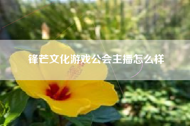 锋芒文化游戏公会主播怎么样