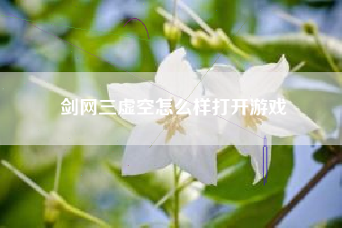 剑网三虚空怎么样打开游戏