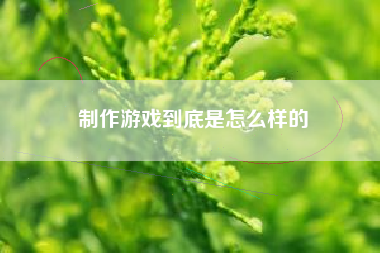 制作游戏到底是怎么样的