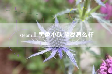 steam上黑色小队游戏怎么样