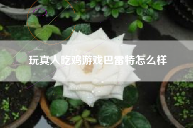 玩真人吃鸡游戏巴雷特怎么样
