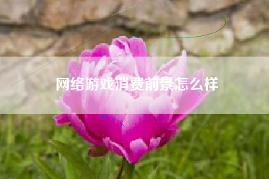 网络游戏消费前景怎么样