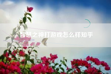 智慧之神打游戏怎么样知乎